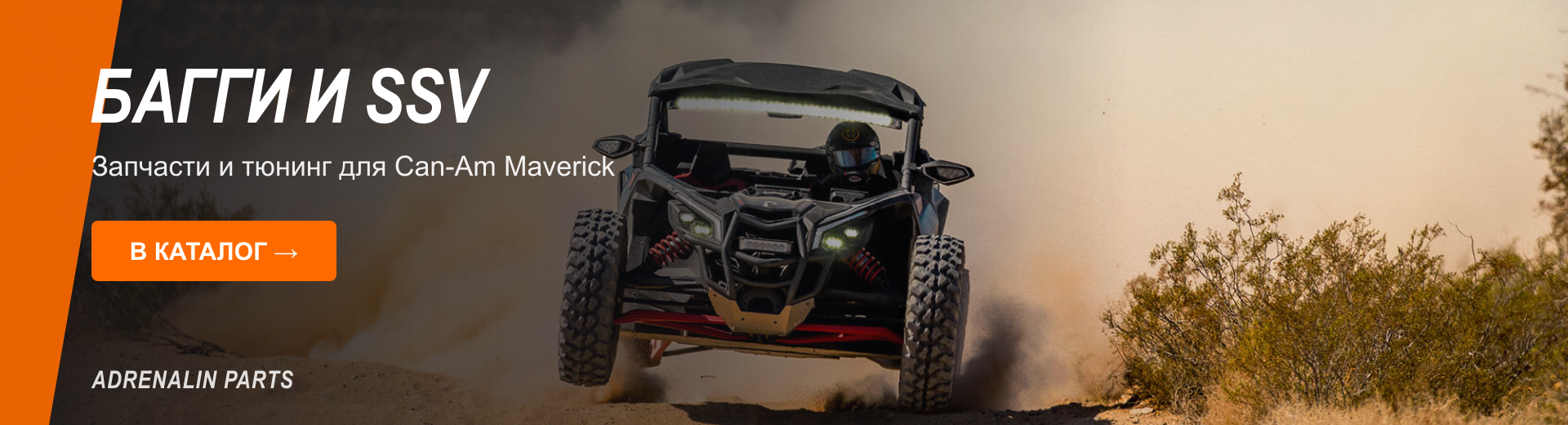 Багги — Can-Am Maverick